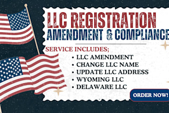 handle llc amendment, reinstatement dissolution, ein number, boi report as agent
