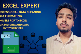 data clean, data format, convert pdf to excel