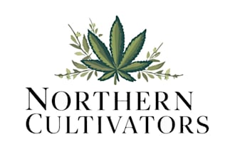 design a professional natural or eco friendly logo for your