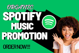 pitch and setup spotify paid ads campaign for your spotify music promotion