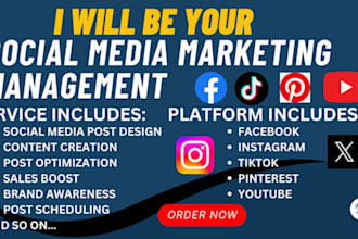 be your content creator ads campaign manager, review, fix and solve all issues