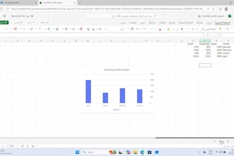 create professional excle reports and charts for your business