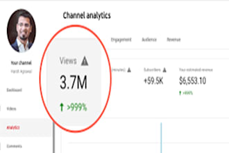 premium youtube video promotion to gain views for channel growth