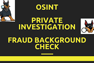 be your private investigator and do background check