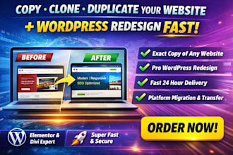 clone redesign or revamp your wordpress elementor webseite and landing page