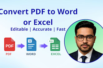 convert the PDF to excel, and do data cleaning