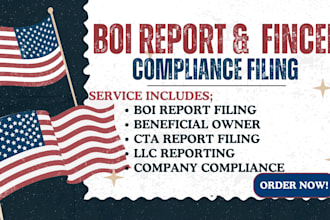 file boi report, ein and keep llc compliant with fincen regulations as agent