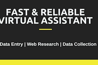 be your virtual assistant for excel data entry and data mining