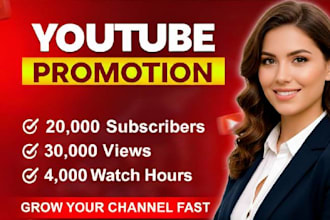 audit your channel and guide you to reach subscribers