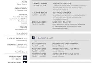 create professional resume or CV