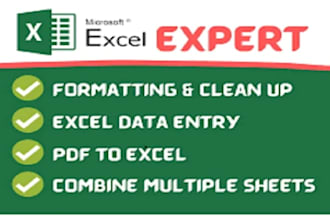 design advanced excel spreadsheets, formulas, and reports