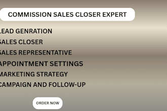 do high ticket sales closer b2b sales, online sales closer