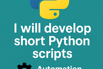create or debug custom python scripts