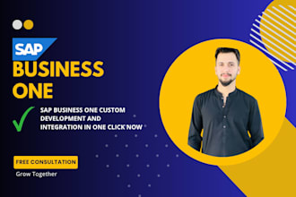 develop sap business one custom solutions and integrations