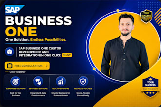 develop sap business one custom solutions and integrations