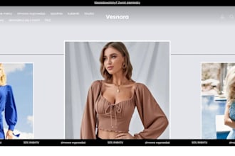 make a dropshipping shopify store