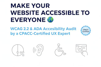 perform a professional website accessibility audit and report