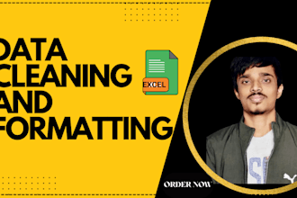 do data cleaning and formatting