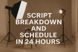 provide script breakdown and shooting schedule in 24hour