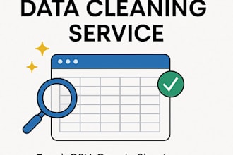 offer expert data clean