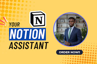 be your notion virtual assistant and expert for templates and setup