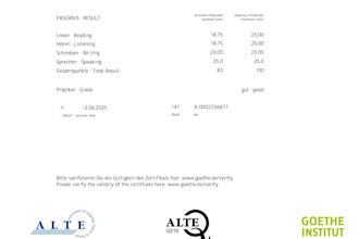 teach german a1,a2 and b1