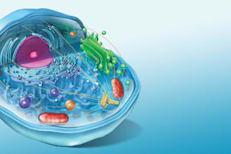 teach biology and general science subjects