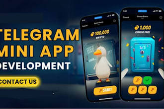 develop a functional telegram mini app, telegram bot crypto bot