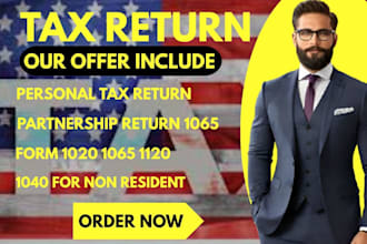 provide professional tax filing and business compliance services