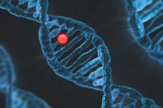 analyze and interpret your raw dna data precisely
