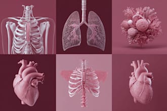 do medical and scientific illustrations