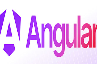 build a professional angular web application or module