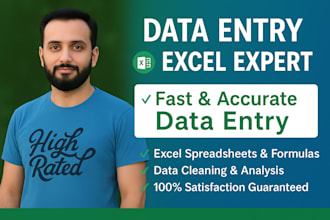 be your professional excel expert for data entry, formatting,