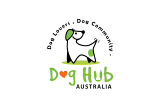 create a unique logo for your website for a pet store, cat