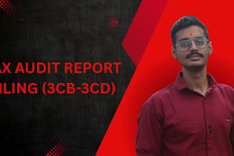prepare and file tax audit report under indian income tax