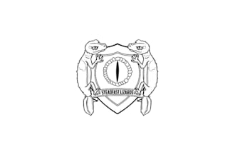 design splendid attract steadfast lizard logo