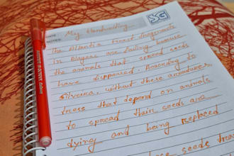 do an wonderfull hand writing for you