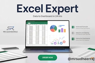 your professional excel data entry  formula dashboard design