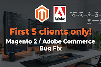 fix 1 bug or error in your magento 2 for the first 5 clients only
