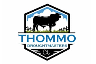 create awesome and gorgeous bull logo design