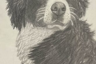 charcoal or graphite recreations of your favorite pictures