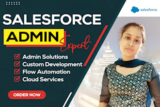 provide salesforce admin, flow automation, and development services