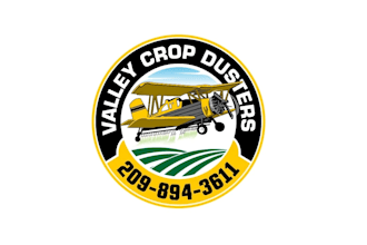 create wonderful and excellent airplane logo design