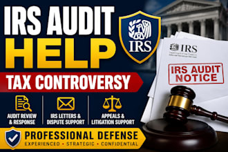 assist with irs audits, tax disputes, and tax controversy matters