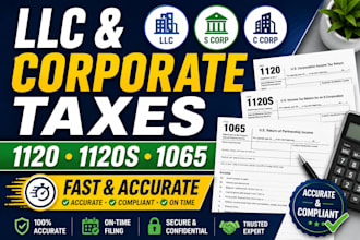 prepare and file llc, s corp, and corporate tax returns accurately