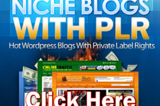 design two Sizes high quality banner ads for your website and quick turnaround