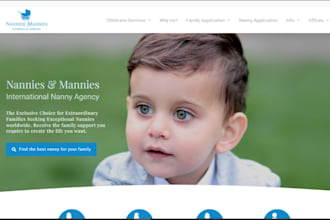 design professional nanny agency website babysitting wordpress website