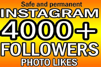 boost your instagram organic lifetime followers