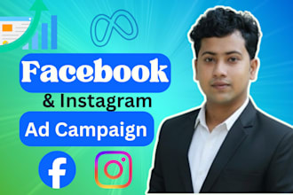 setup expert targeted facebook instagram ads