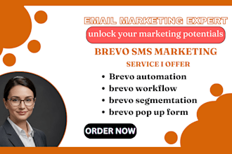 do brevo SMS automation brevo customer segmentation platform integration